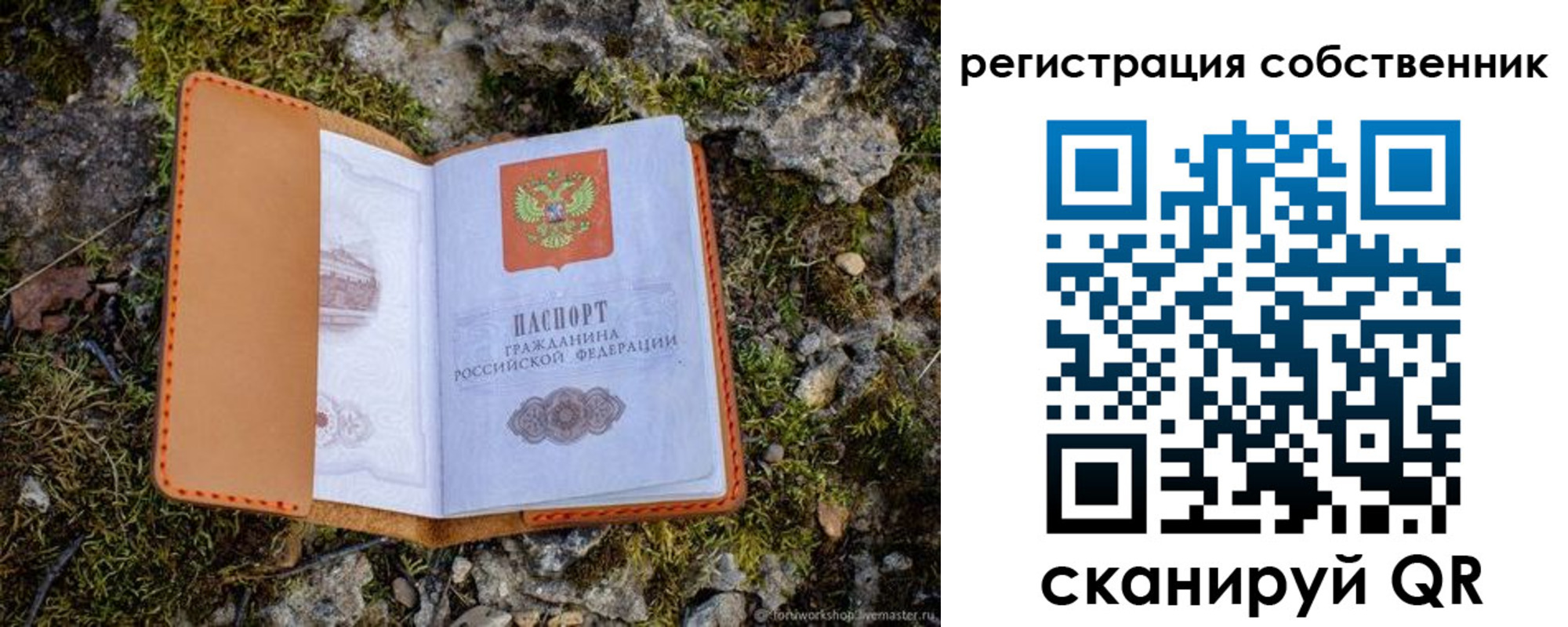 прописка поиск в Гороховце